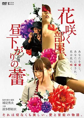 沙海回声 高清电影在线观看
